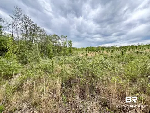 0 Pine Dr, Saint Stephens, AL 36569 photo 20