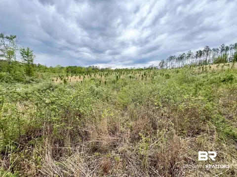 0 Pine Dr, Saint Stephens, AL 36569 photo 3