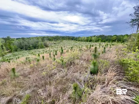 0 Pine Dr, Saint Stephens, AL 36569 photo 14