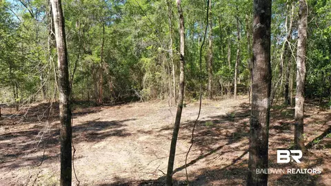 3 Brookwood Dr, Atmore, AL 36502 photo 4
