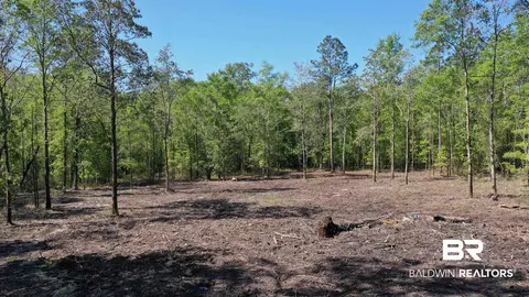 3 Brookwood Dr, Atmore, AL 36502 photo 8