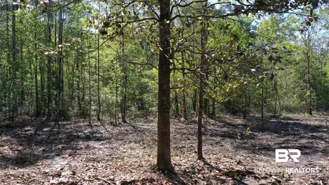 3 Brookwood Dr, Atmore, AL 36502 photo 9
