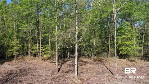 3 Brookwood Dr, Atmore, AL 36502 photo 10