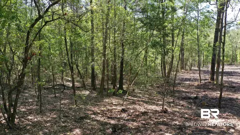 3 Brookwood Dr, Atmore, AL 36502 photo 6
