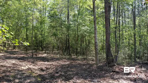 3 Brookwood Dr, Atmore, AL 36502 photo 11