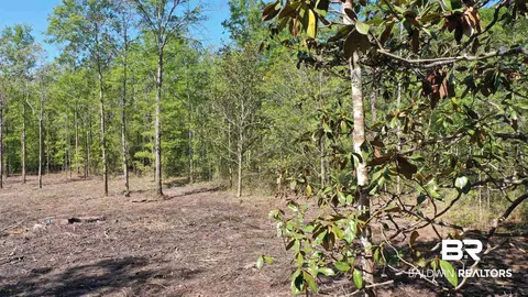 3 Brookwood Dr, Atmore, AL 36502 photo 5