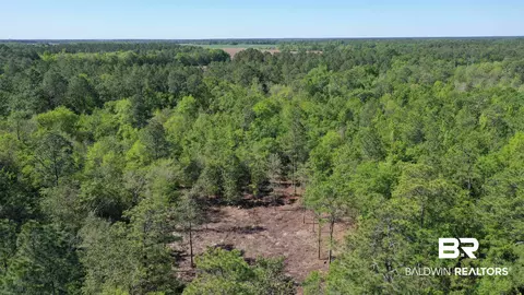 3 Brookwood Dr, Atmore, AL 36502 photo 13