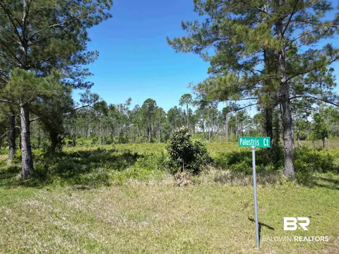 0 Palustris Ct, Elberta, AL 36530