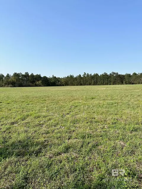 27875 Woerner Rd, Elberta, AL 36530