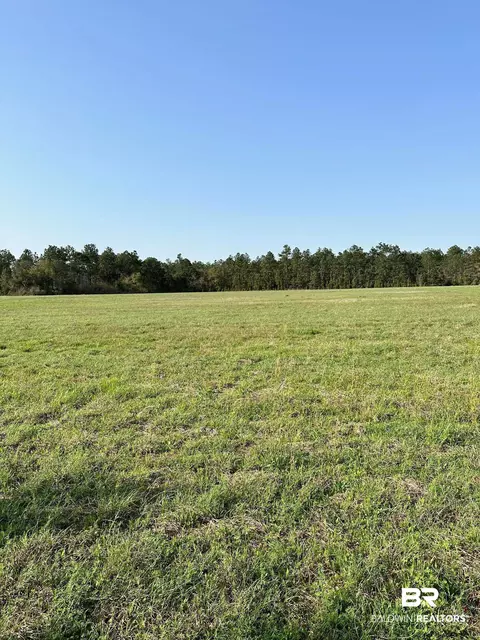 27875 Woerner Rd, Elberta, AL 36530