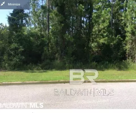 24389 Sailfish Ln, Orange Beach, AL 36561