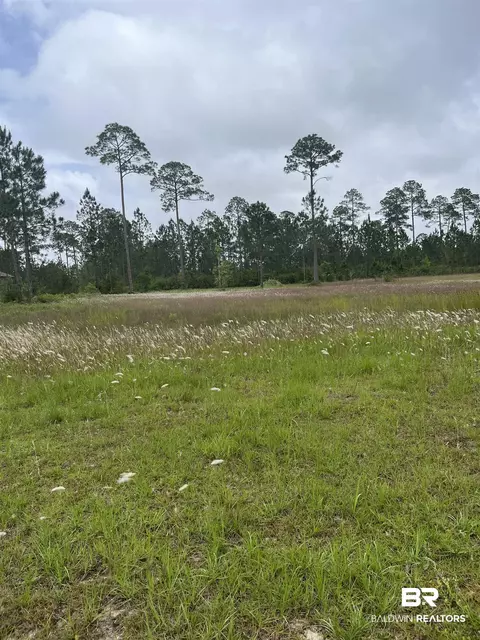 11071 Tall Timber Ln, Elberta, AL 36530
