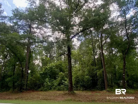 0 Pine Grove Rd Ext, Bay Minette, AL 36507