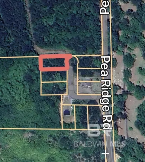 3434 Pea Ridge Rd, Brewton, AL 36426