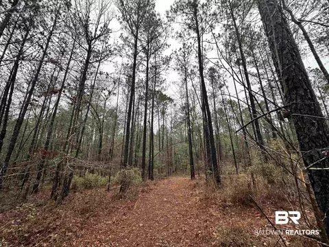4549 Jp Howard Rd, Tibbie, AL 36583