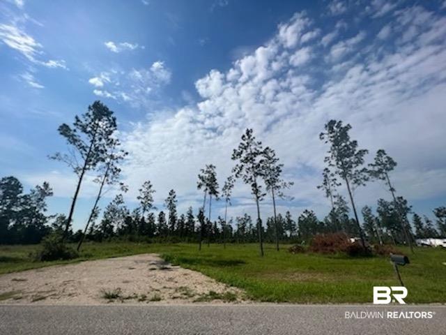 24712 Linholm Rd, Robertsdale, AL 36567