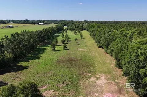 29701 Comstock Rd, Elberta, AL 36530 photo 6