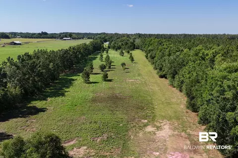 29701 Comstock Rd, Elberta, AL 36530 photo 6