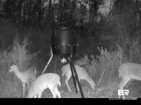 30111 Gardner Rd, Elberta, AL 36530 photo 28