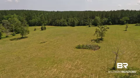 lot1 River Annex Rd, Cantonment, FL 32533