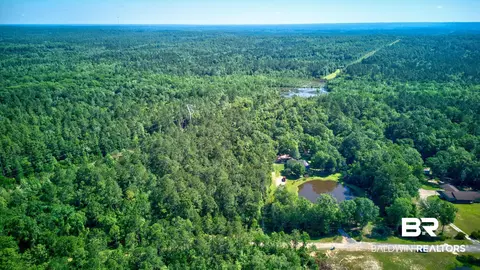 0 Evans Rd, Chunchula, AL 36521 photo 9