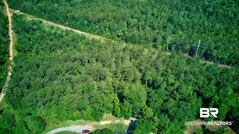 0 Evans Rd, Chunchula, AL 36521 photo 10