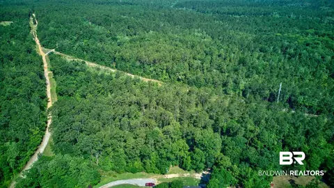 0 Evans Rd, Chunchula, AL 36521 photo 5
