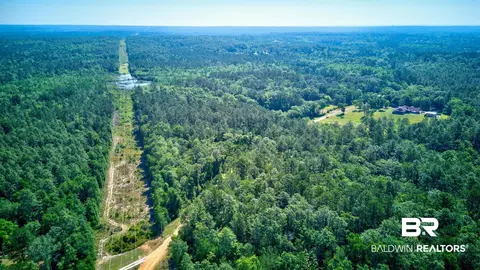 0 Evans Rd, Chunchula, AL 36521 photo 4