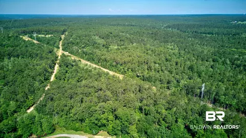 0 Evans Rd, Chunchula, AL 36521 photo 6