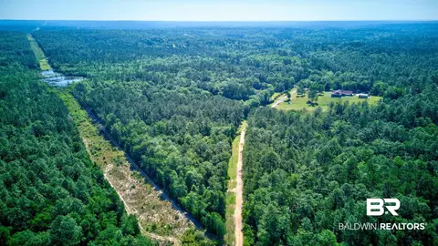 0 Evans Rd, Chunchula, AL 36521 photo 19