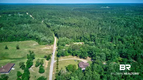 0 Evans Rd, Chunchula, AL 36521 photo 11