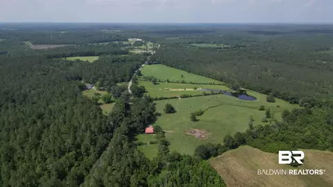 5182 Millry Buckatunna Rd, Millry, AL 36558