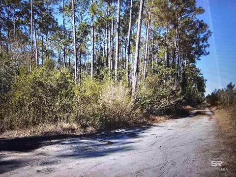 35542 Rester Ave, Lillian, AL 36549