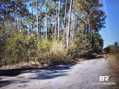 35542 Rester Ave, Lillian, AL 36549