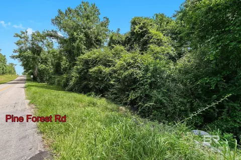 0 Pine Forest Rd, Walnut Hill, FL 32568 photo 5