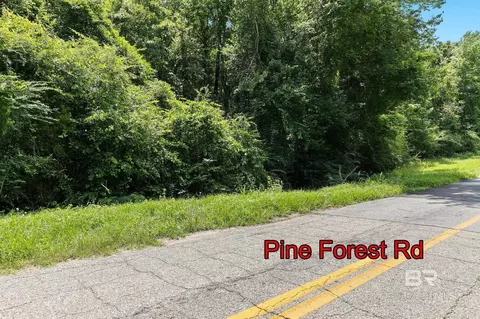 0 Pine Forest Rd, Walnut Hill, FL 32568 photo 4