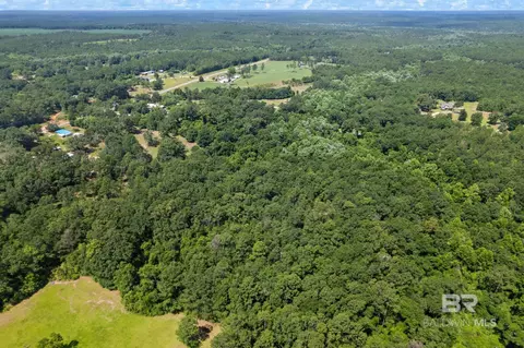 0 Pine Forest Rd, Walnut Hill, FL 32568 photo 26