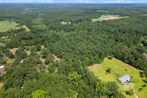 0 Pine Forest Rd, Walnut Hill, FL 32568 photo 14