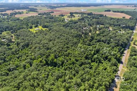 0 Pine Forest Rd, Walnut Hill, FL 32568 photo 9