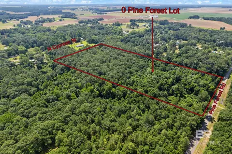 0 Pine Forest Rd, Walnut Hill, FL 32568 photo 3