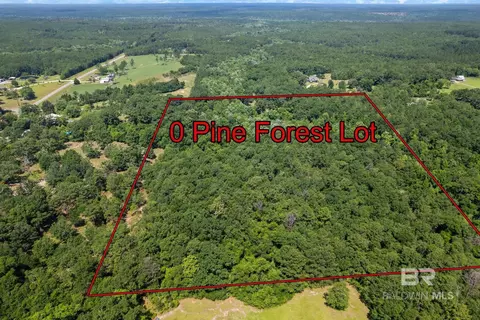 0 Pine Forest Rd, Walnut Hill, FL 32568 photo 6