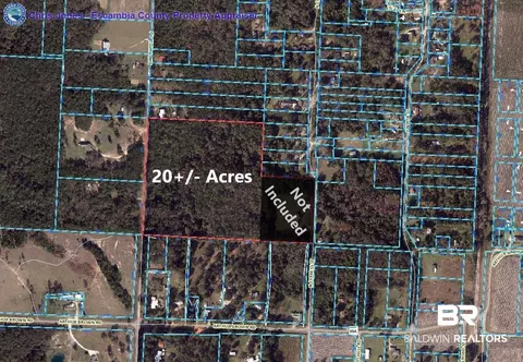 0 Pine Forest Rd, Walnut Hill, FL 32568 photo 2