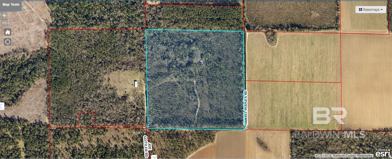 17505 Hansel Hodges Rd  