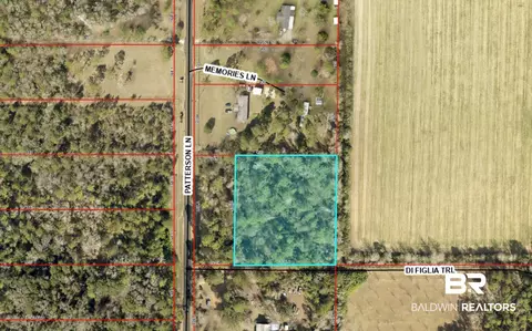0 Patterson Ln, Elberta, AL 36530 photo 4
