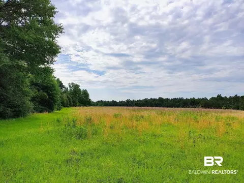 0 County Road 69, Coffeeville, AL 36524