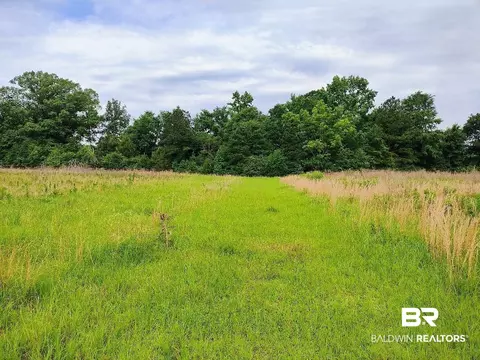 0000 County Road 69, Coffeeville, AL 36524