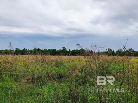 000000 County Road 69, Coffeeville, AL 36524