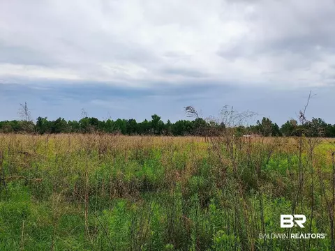 000000 County Road 69, Coffeeville, AL 36524