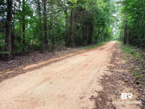 0000000 County Road 69, Coffeeville, AL 36524