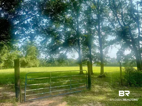 15531 County Road 83, Elberta, AL 36530 photo 48